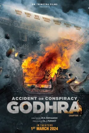 Accident or Conspiracy: Godhra 2024 Poster