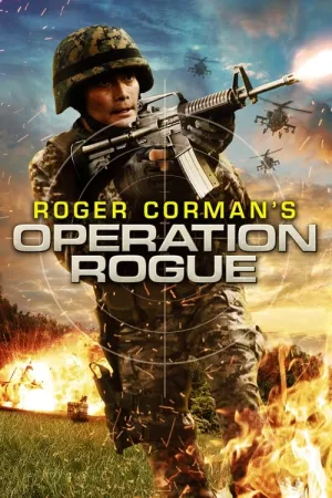 Operation Rogue 2014 Poster