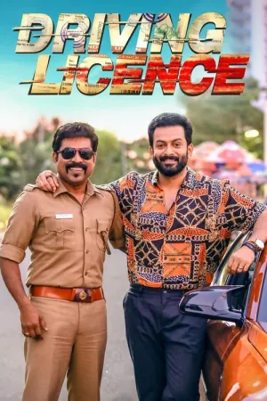 Driving Licence 2019 Poster